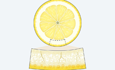 Lemon Peel has Shock-absorbing Properties